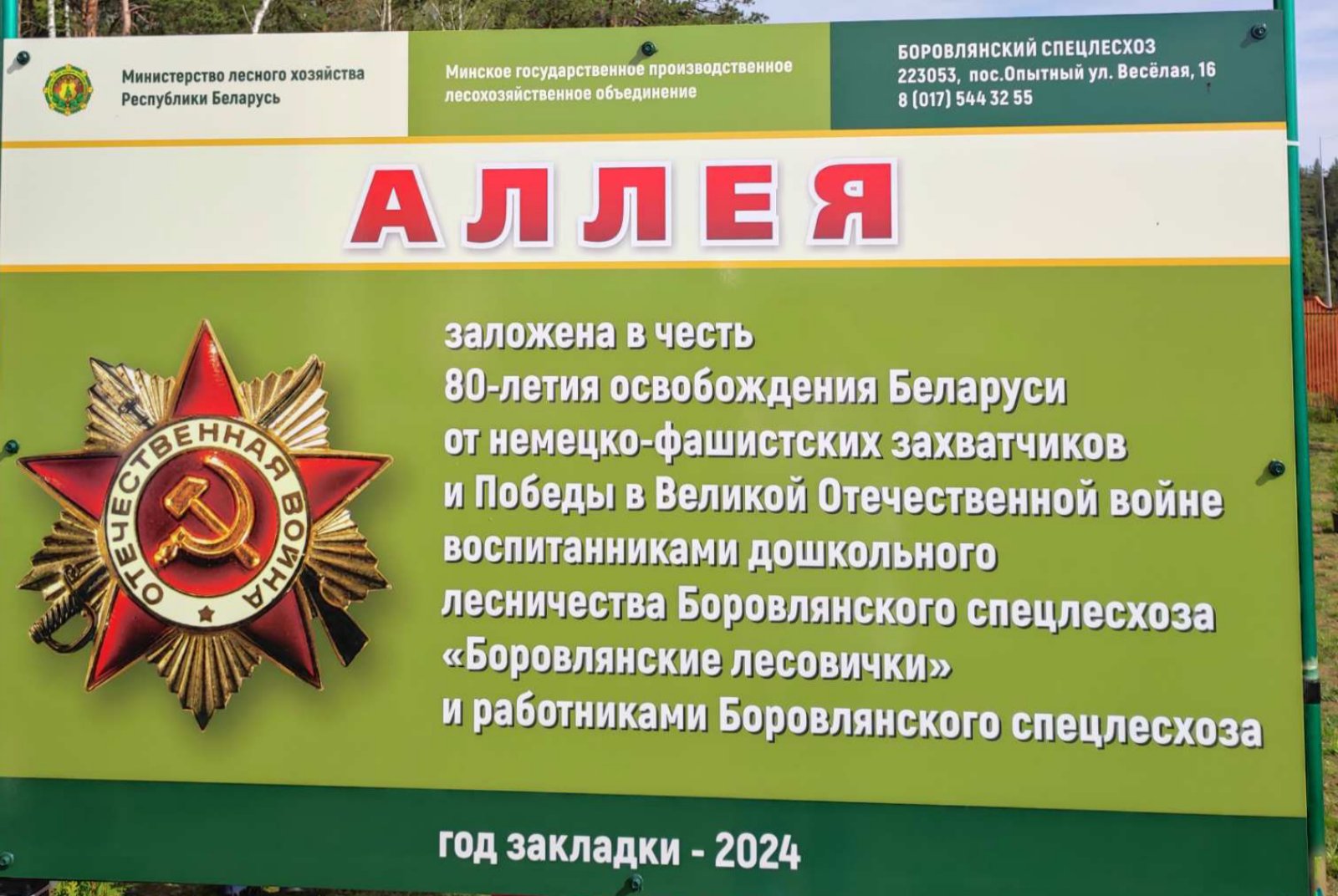 Закладкаа аллеи в честь 80-летия освобождения Беларуси от немецко-фашистских захватчиков